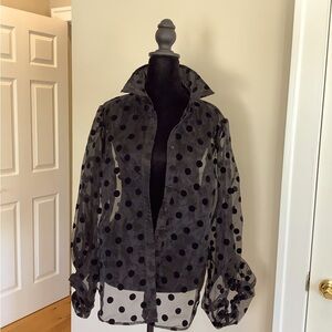 Boston Proper. Sheer, Polka Dot Blouse. Size L. NWOT.